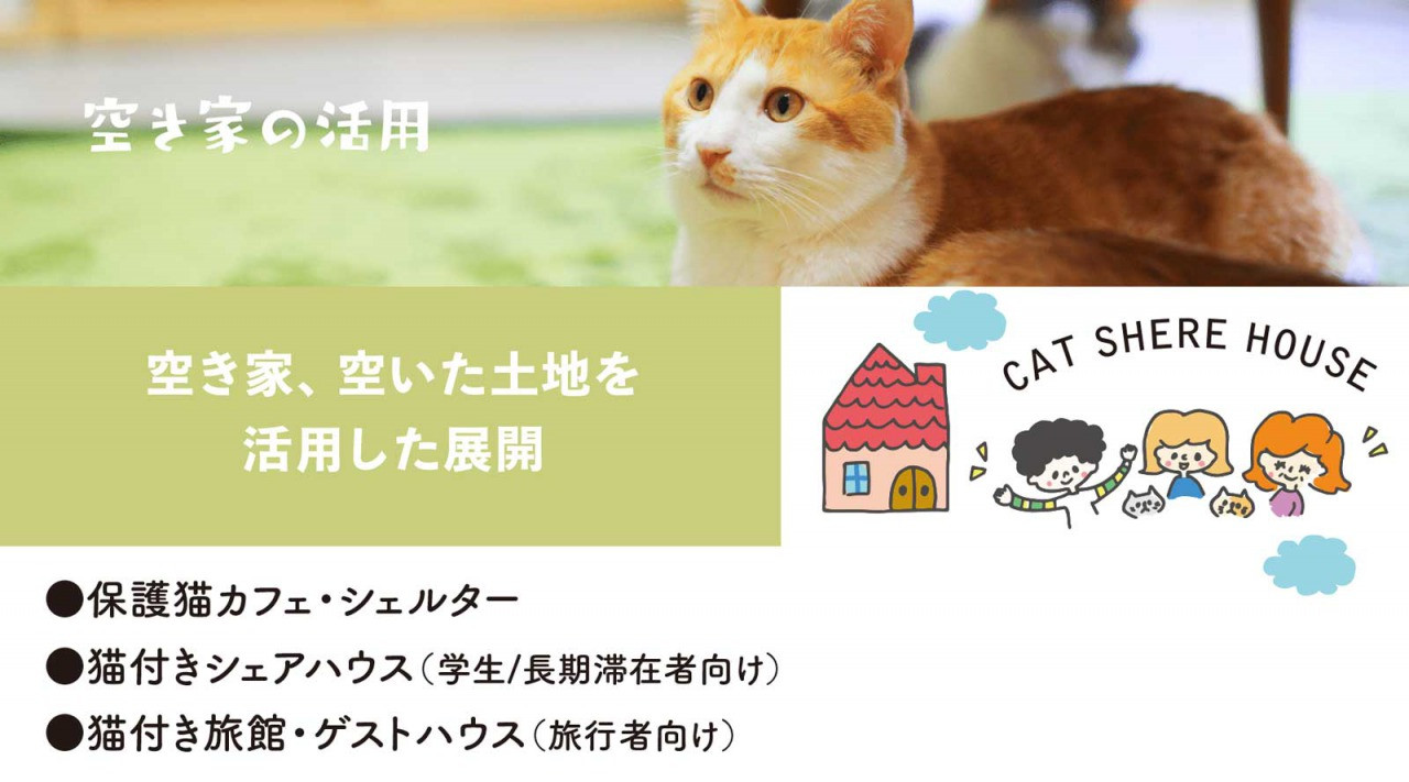 ふるさと納税で応援 飛騨市の地域課題を猫を通じて解決し 猫の殺処分も減らす ふるさと納税 ふるさとチョイス