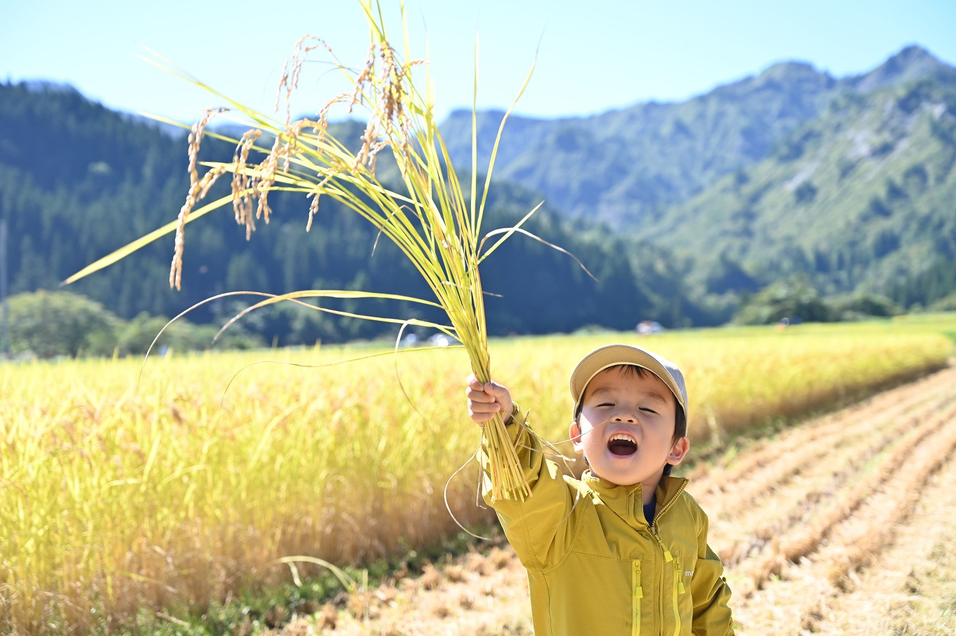 新潟県阿賀町のおかわりがとまらない！極上のコシヒカリ特集｜ふるさとチョイス - ふるさと納税サイト