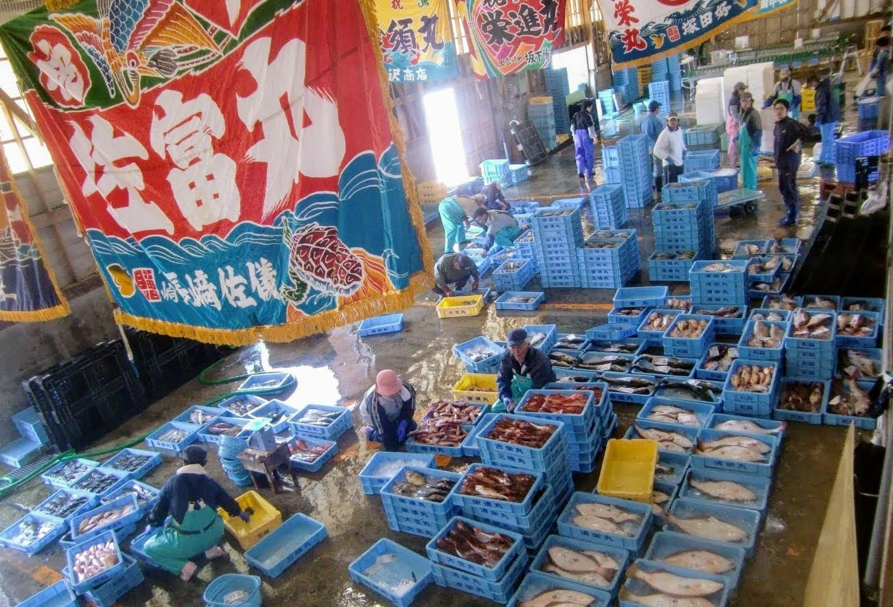 新潟県糸魚川市の君は糸魚川の魚介のスゴさを知っているか ふるさとチョイス ふるさと納税サイト