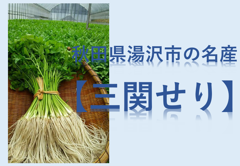 情熱セール ふるさと納税 湯沢市 比内地鶏とあきたこまちのきりたんぽ鍋セット H12701 tezelizolasyon.com