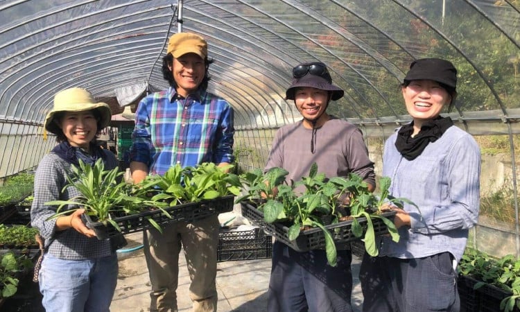 愛情たっぷり！！さぬき市 野菜 フルーツ 特集｜ふるさとチョイス - ふるさと納税サイト