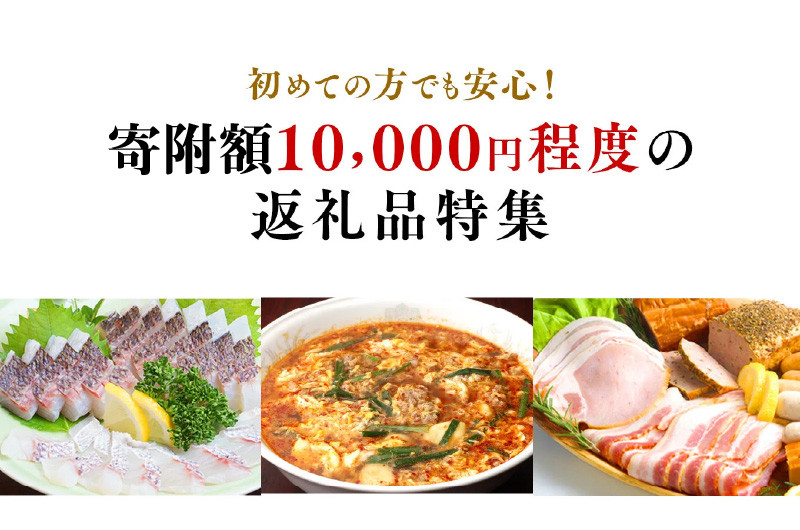 宮崎県延岡市の初めての方でも安心！寄附額10,000円程度の返礼品特集！｜ふるさとチョイス - ふるさと納税サイト