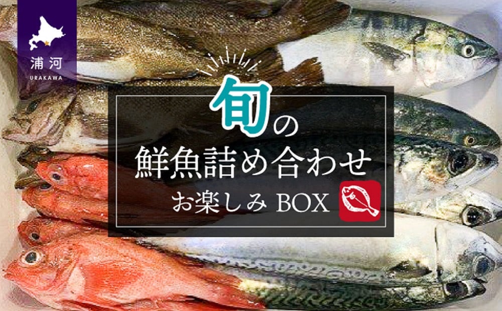 漁協厳選！鮮魚お楽しみBOX※不在日・日付指定対応不可※[02-830] - 北海道浦河町｜ふるさとチョイス - ふるさと納税サイト