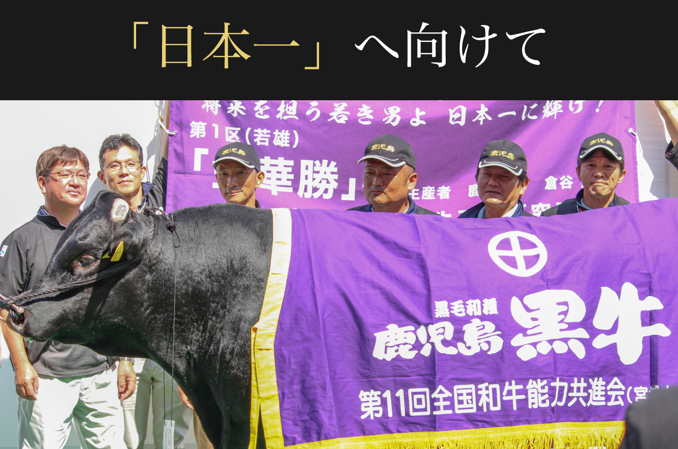 和牛日本一の鹿児島黒牛 ふるさと納税 ふるさとチョイス