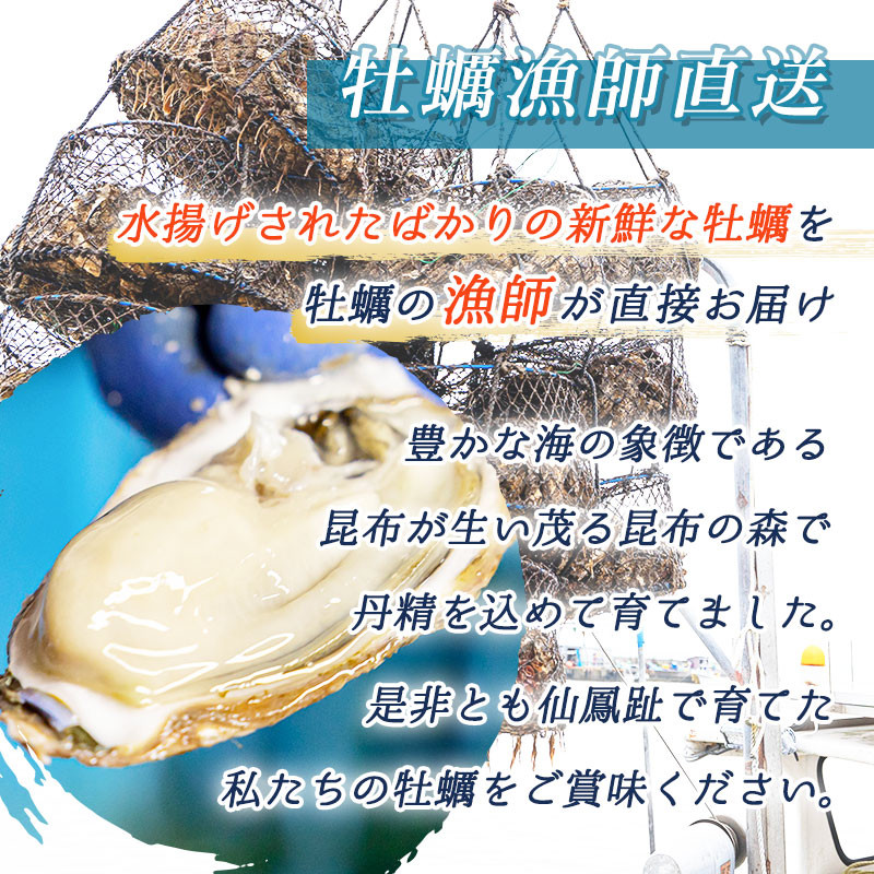 北海道釧路町 仙鳳趾（センポウシ）の牡蠣（カキ）｜ふるさとチョイス