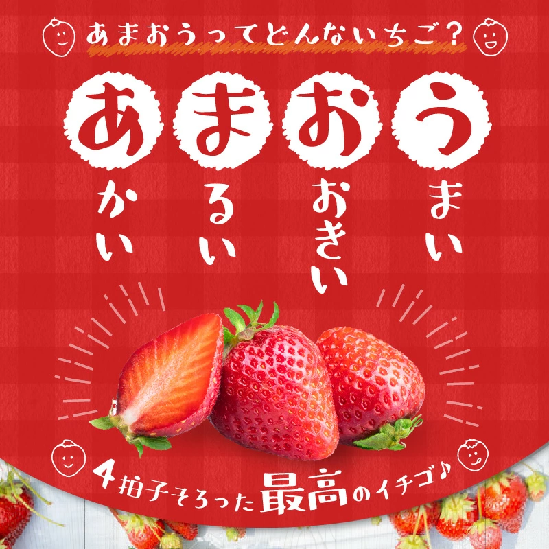 福岡県久留米市の今が旬の”いちご”特集！｜ふるさとチョイス