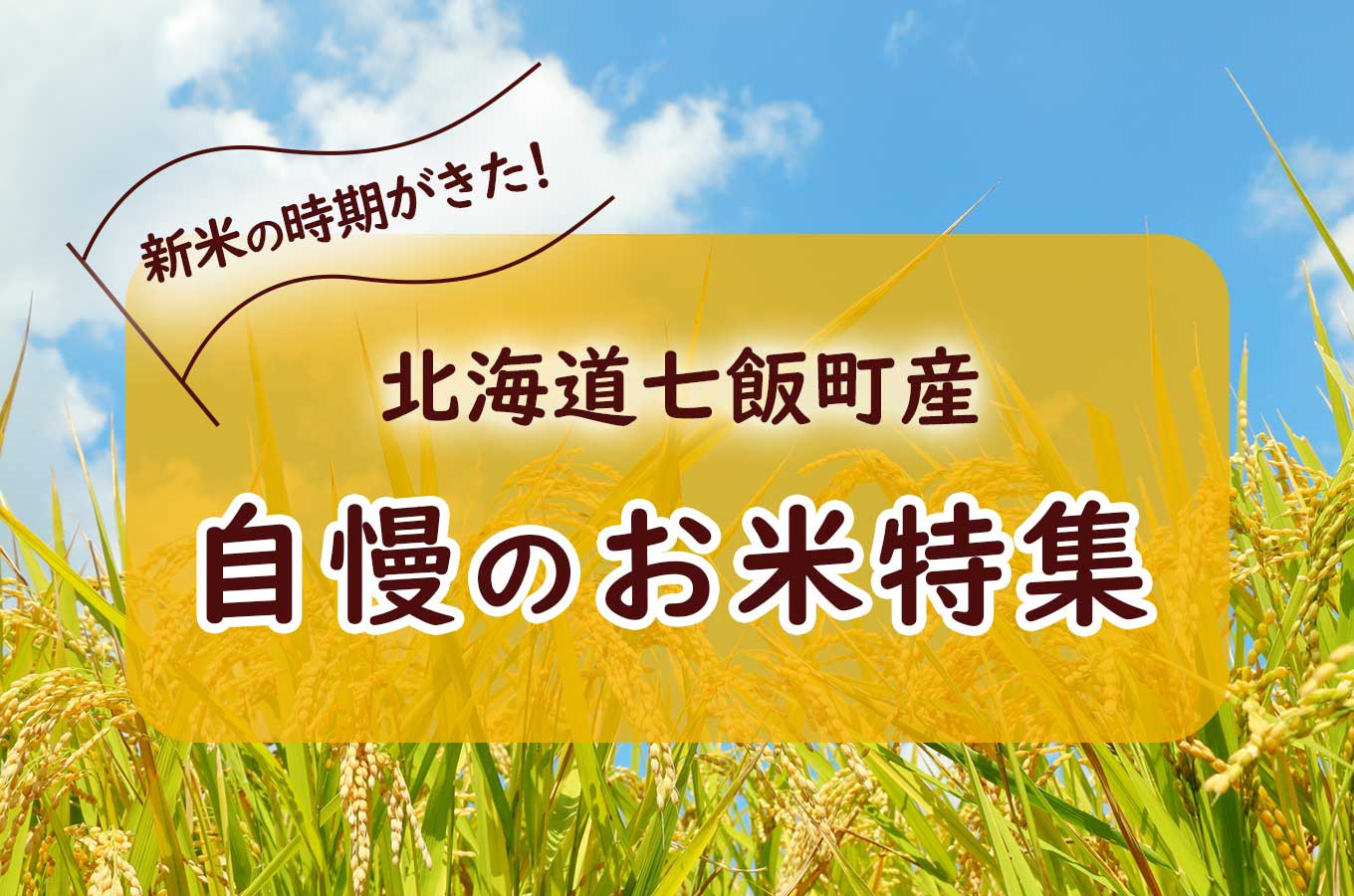 北海道七飯町の七飯町産の自慢のお米特集｜ふるさとチョイス - ふるさと納税サイト
