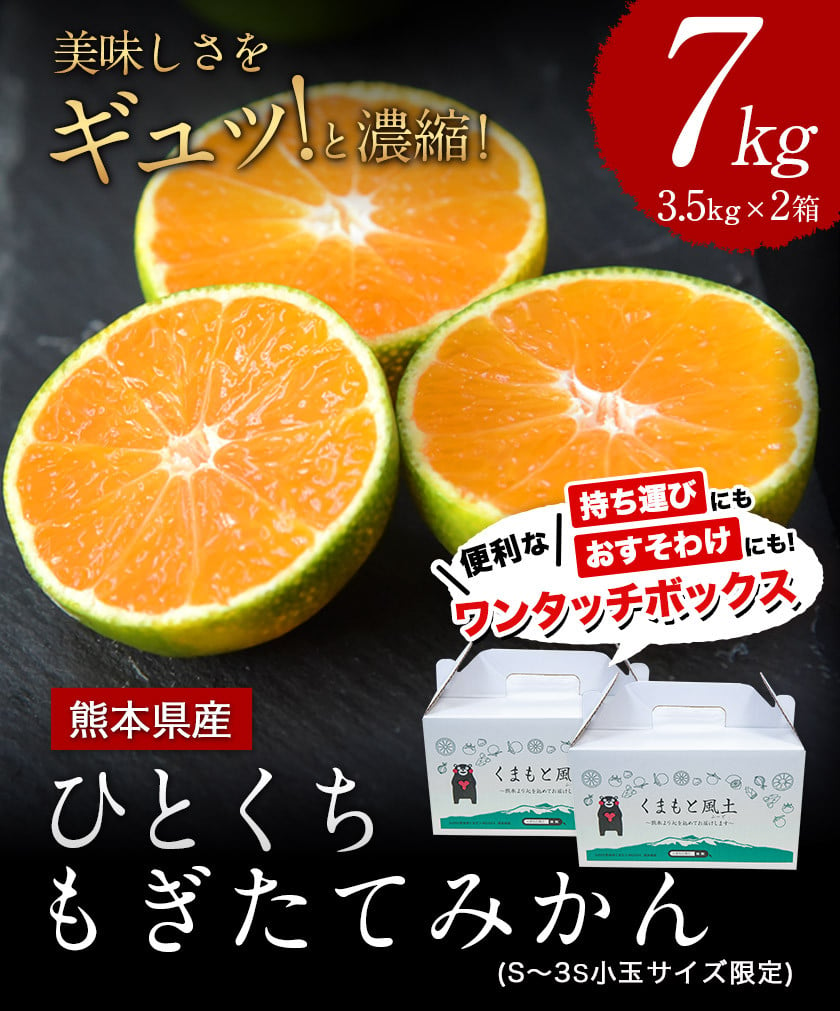 荒尾市】美味しさぎゅっと！詰まった 熊本県産 ひとくちもぎたてみかん｜ふるさとチョイス - ふるさと納税サイト