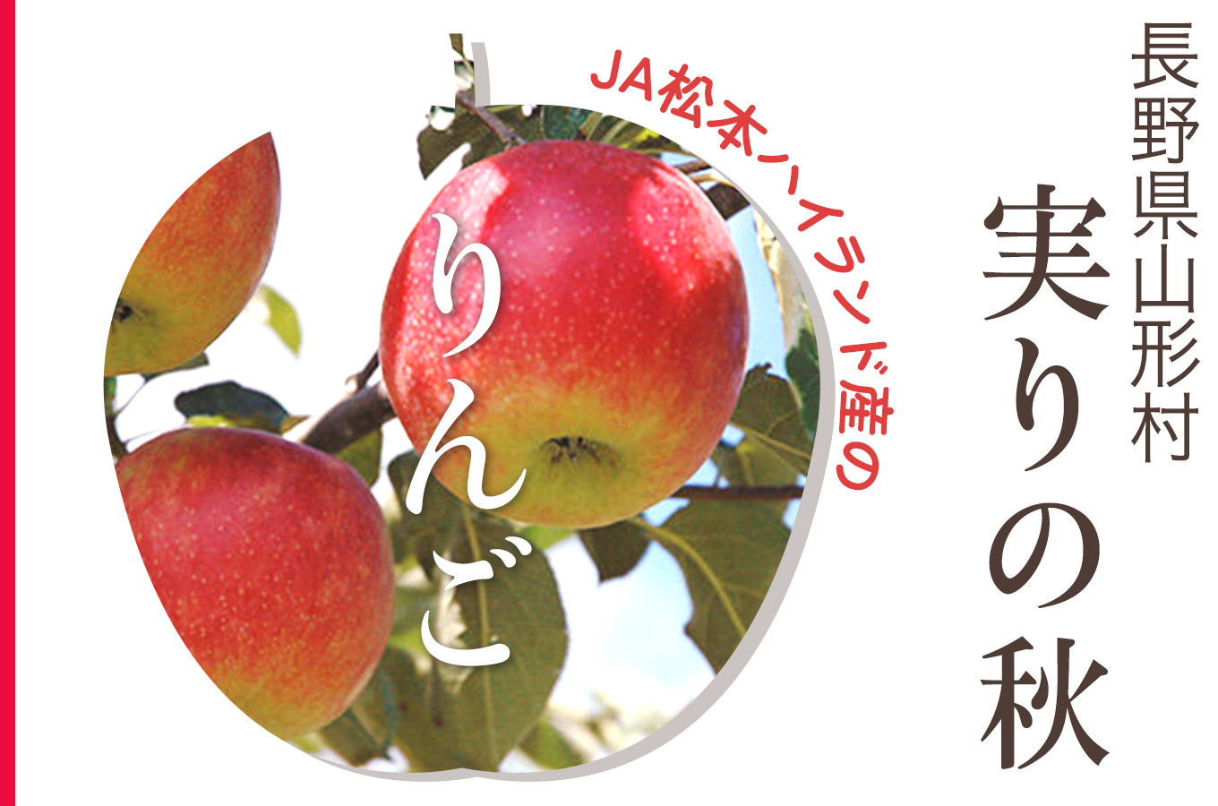 実りの秋ですね 山形村のりんごです ふるさと納税 ふるさとチョイス