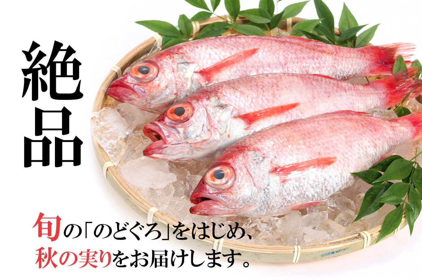 島根県浜田市の絶品！旬の「のどぐろ」をはじめ、秋の実りをお届けします。｜ふるさとチョイス - ふるさと納税サイト