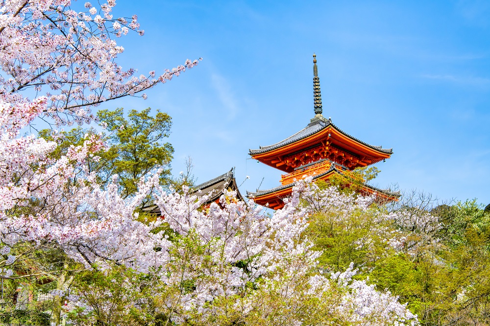 古都・京都で「美」を愛でる至福の春旅を｜ふるさとチョイス