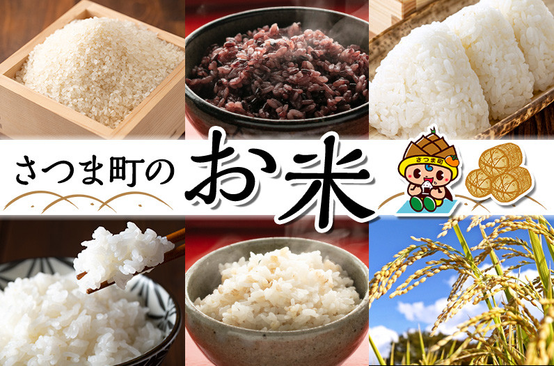 北薩は寒暖差がありお米作りに最適に気候です！さつま町のお米特集