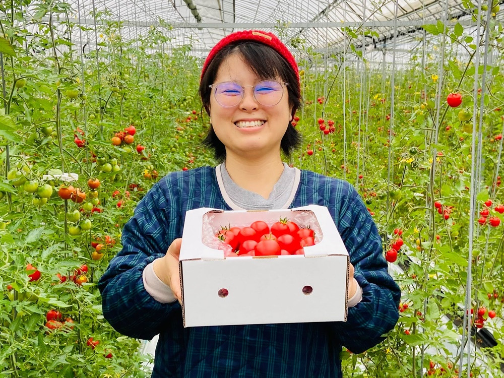 心を込めてトマトを育てて7年。毎年チャレンジの繰り返しです！
「合屋フルーツトマト農園」