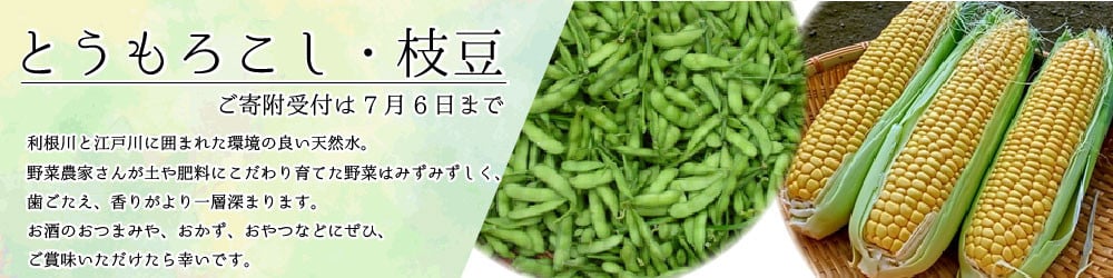 千葉県野田市の野田市 新鮮！おいしい！ 農産物特集！｜ふるさとチョイス - ふるさと納税サイト