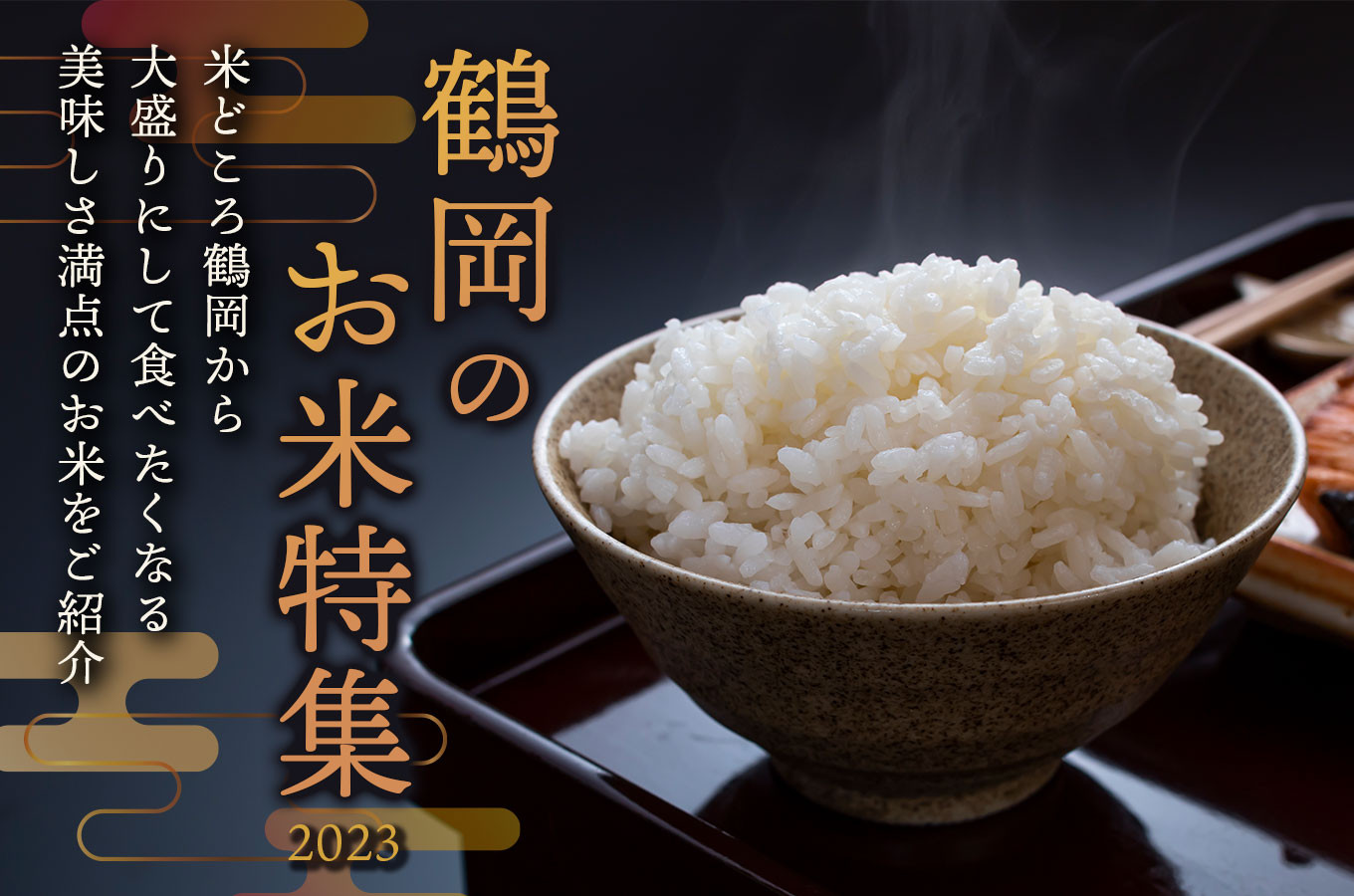 なおさま専用 平成３０年産白米19kg はえぬき 山形県鶴岡市関根産食品/飲料/酒