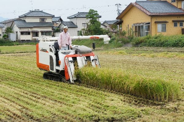 農薬と化学肥料を50%削減 丹精込めて育てたお米