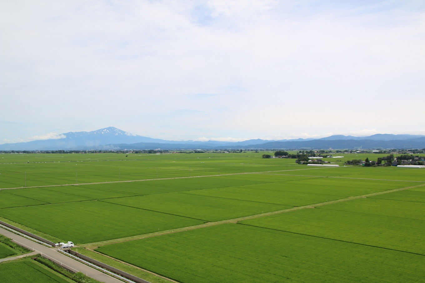 山形県三川町【令和5年産米】新米特集！こだわりの米づくり｜ふるさと