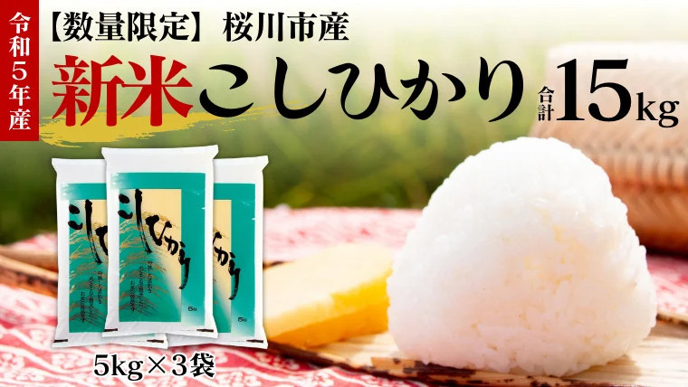 令和5年度産 】新米 数量限定 桜川市産 こしひかり 15kg（5kg×3袋