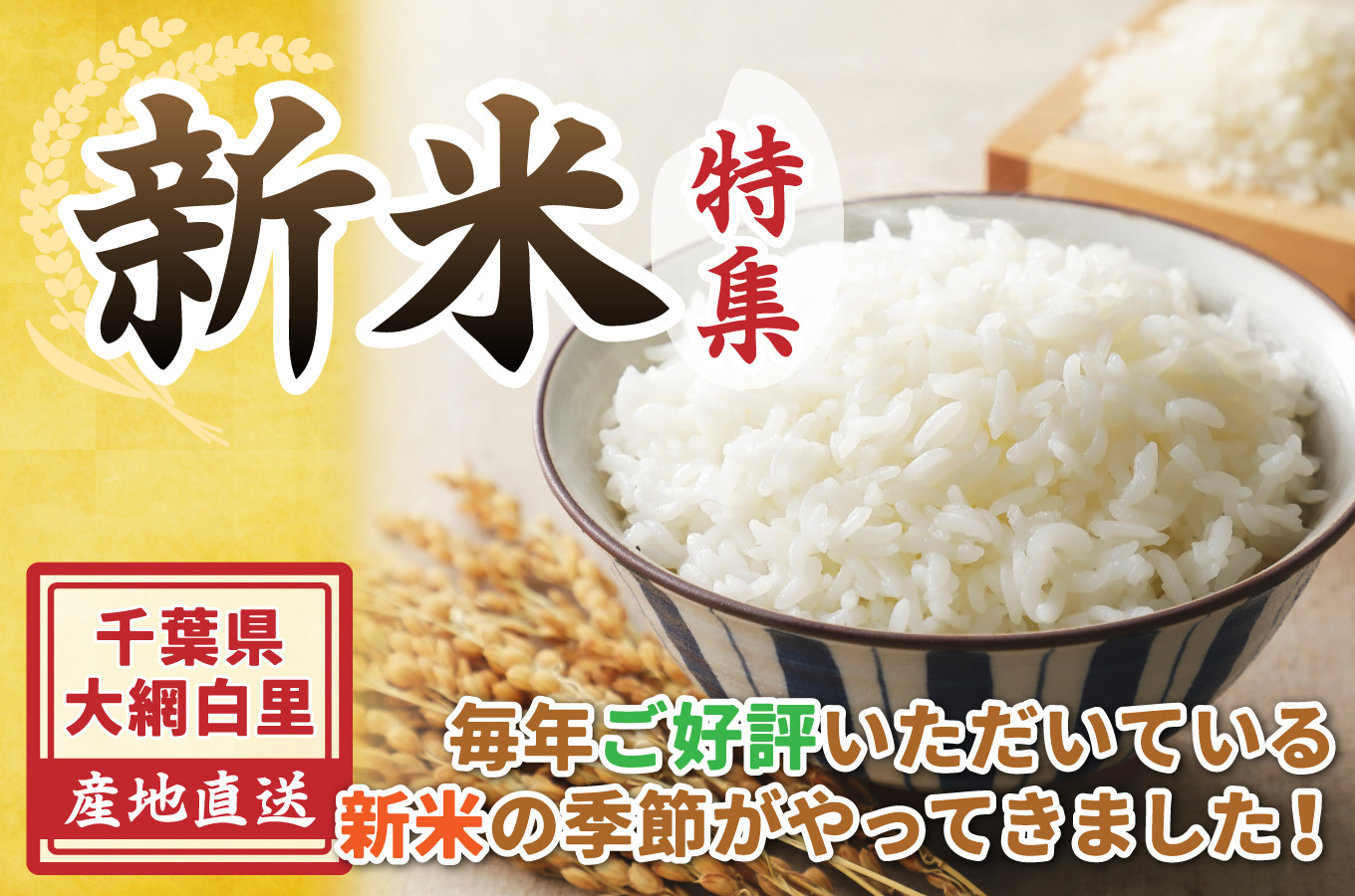 千葉県大網白里市の令和5年産【新米】登場！！｜ふるさとチョイス