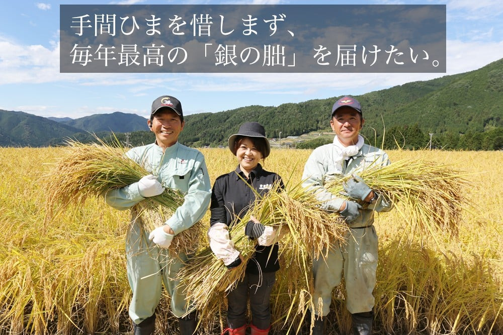 大切な人に贈りたくなるお米「銀の朏」おすすめポイント!