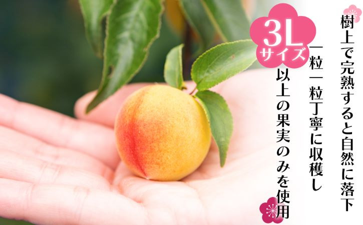 担当者のオススメポイント!