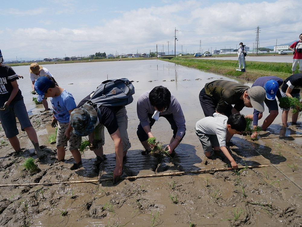 米作りの魅力を伝える活動