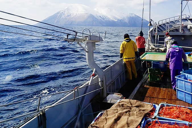 おすすめポイント！「安心の国産・北海道日本海産」