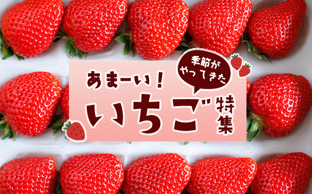 徳島県徳島市のあまーい！季節がやってきた『いちご』特集｜ふるさと