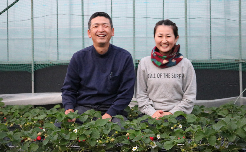 思わず笑顔になる魔法のいちご（さちのか）