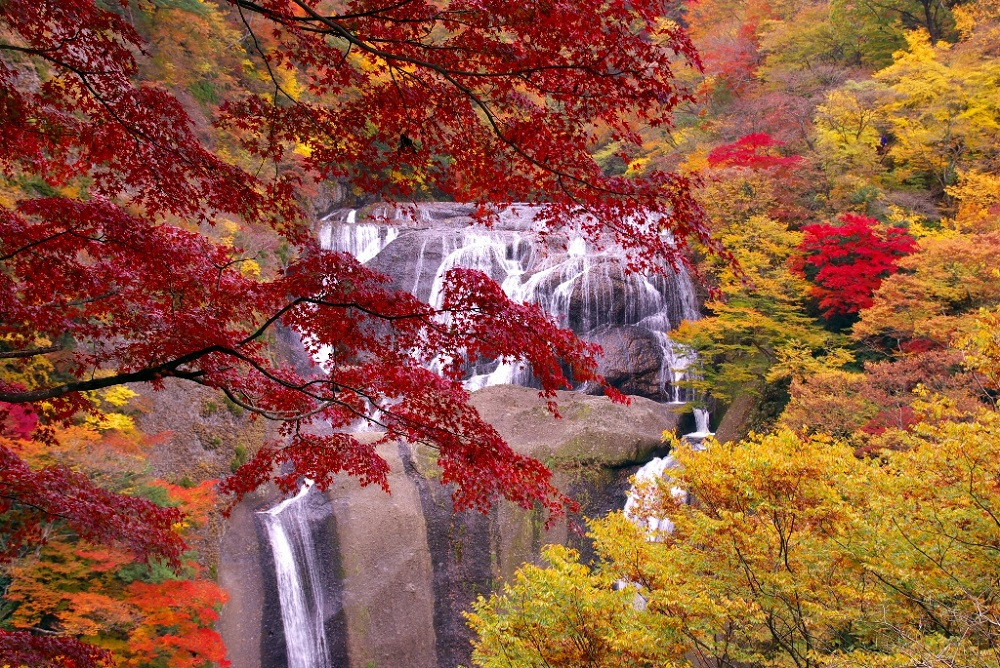 日本三名瀑の国名勝「袋田の滝」