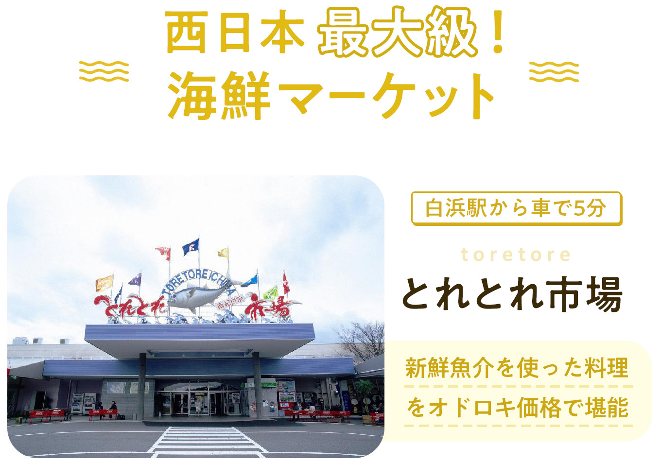 和歌山県白浜町のふるさと納税で訪れる【白浜町】旅行特集｜ふるさとチョイス - ふるさと納税サイト