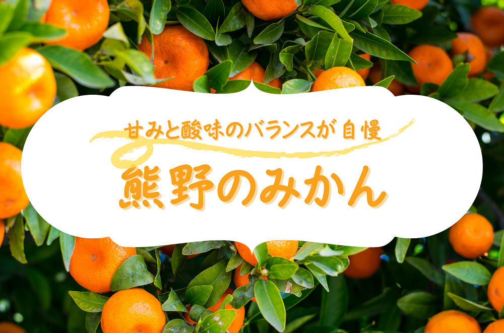 三重県熊野市の甘みと酸味のバランスが自慢！熊野のみかん特集｜ふるさとチョイス - ふるさと納税サイト