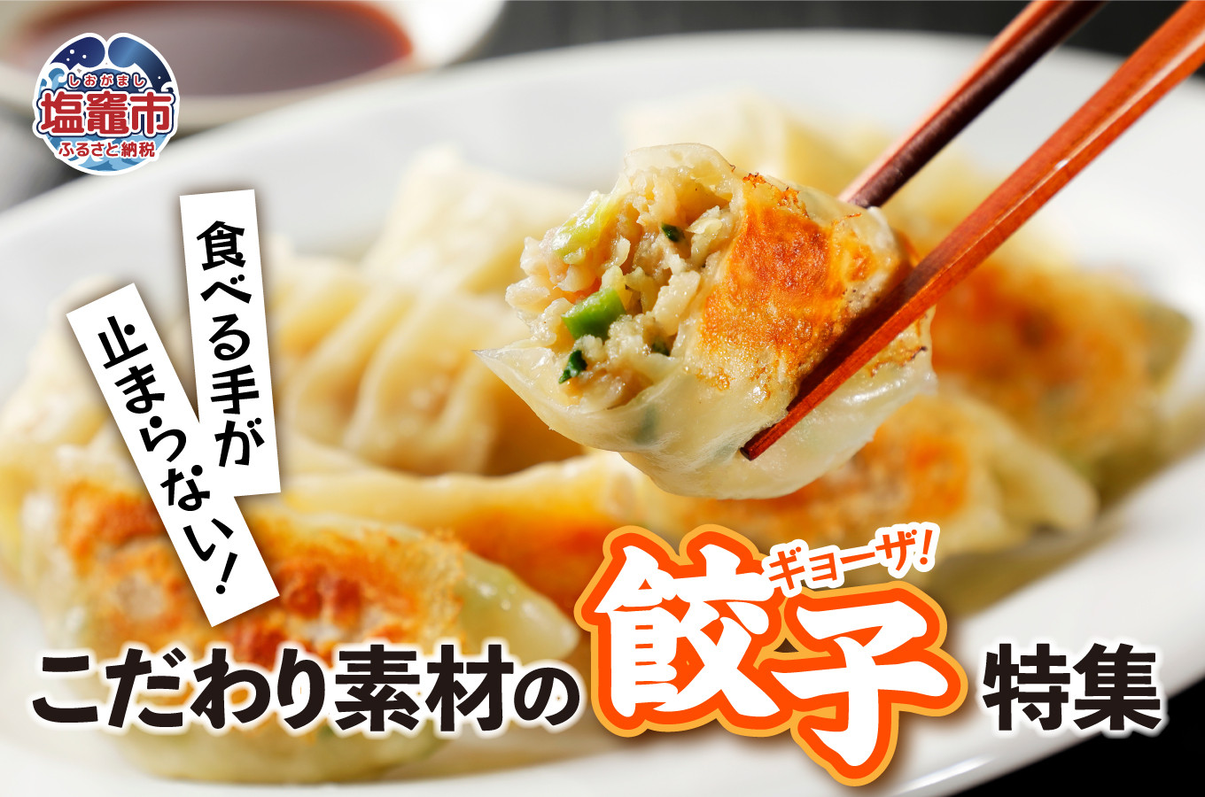 宮城県塩竈市の食べる手が止まらない！塩竈☆こだわり素材の餃子特集！！｜ふるさとチョイス - ふるさと納税サイト