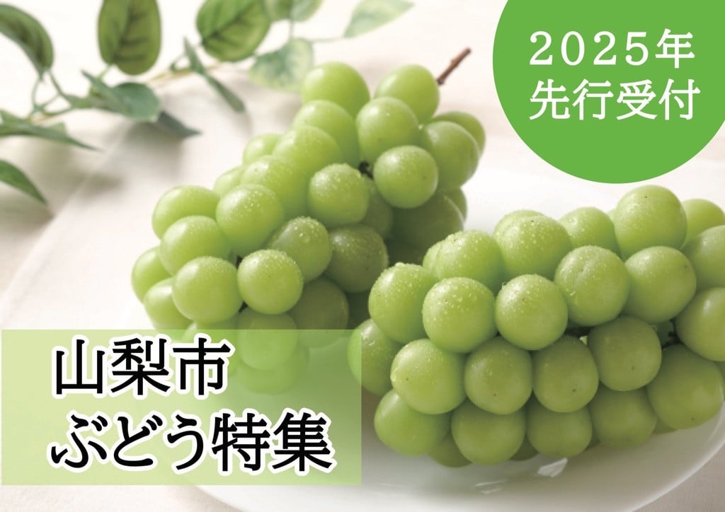 山梨県山梨市の【2025年分先行受付】山梨市のぶどう特集｜ふるさとチョイス - ふるさと納税サイト