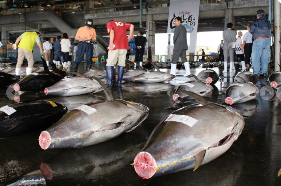 活気あふれる塩竈市魚市場