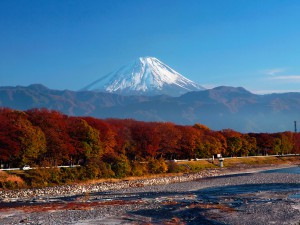 山梨県甲斐市はどんなまち?