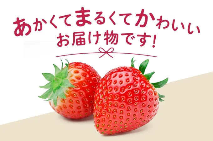 福岡県須恵町のあかくて、まるくて、かわいいお届けものです！｜ふるさとチョイス - ふるさと納税サイト