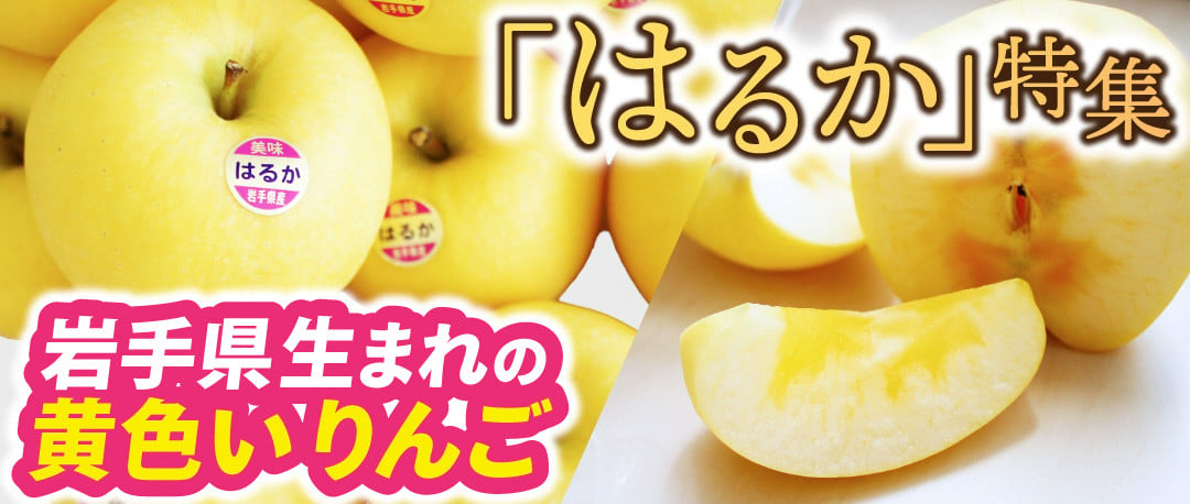 岩手県紫波町の岩手県生まれの黄色いりんご「はるか」特集｜ふるさとチョイス - ふるさと納税サイト