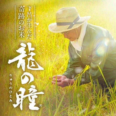 飛騨の寒暖差が大粒を作る