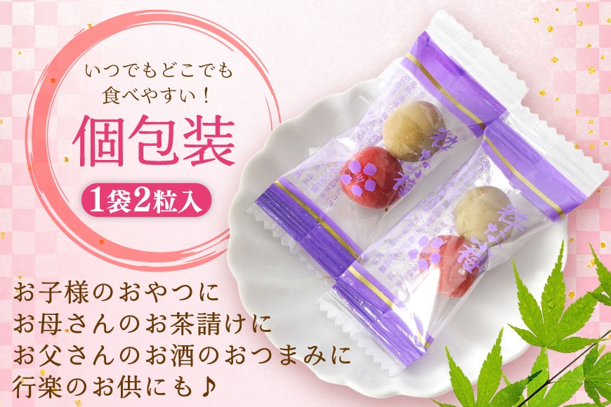 カリカリ梅の感想