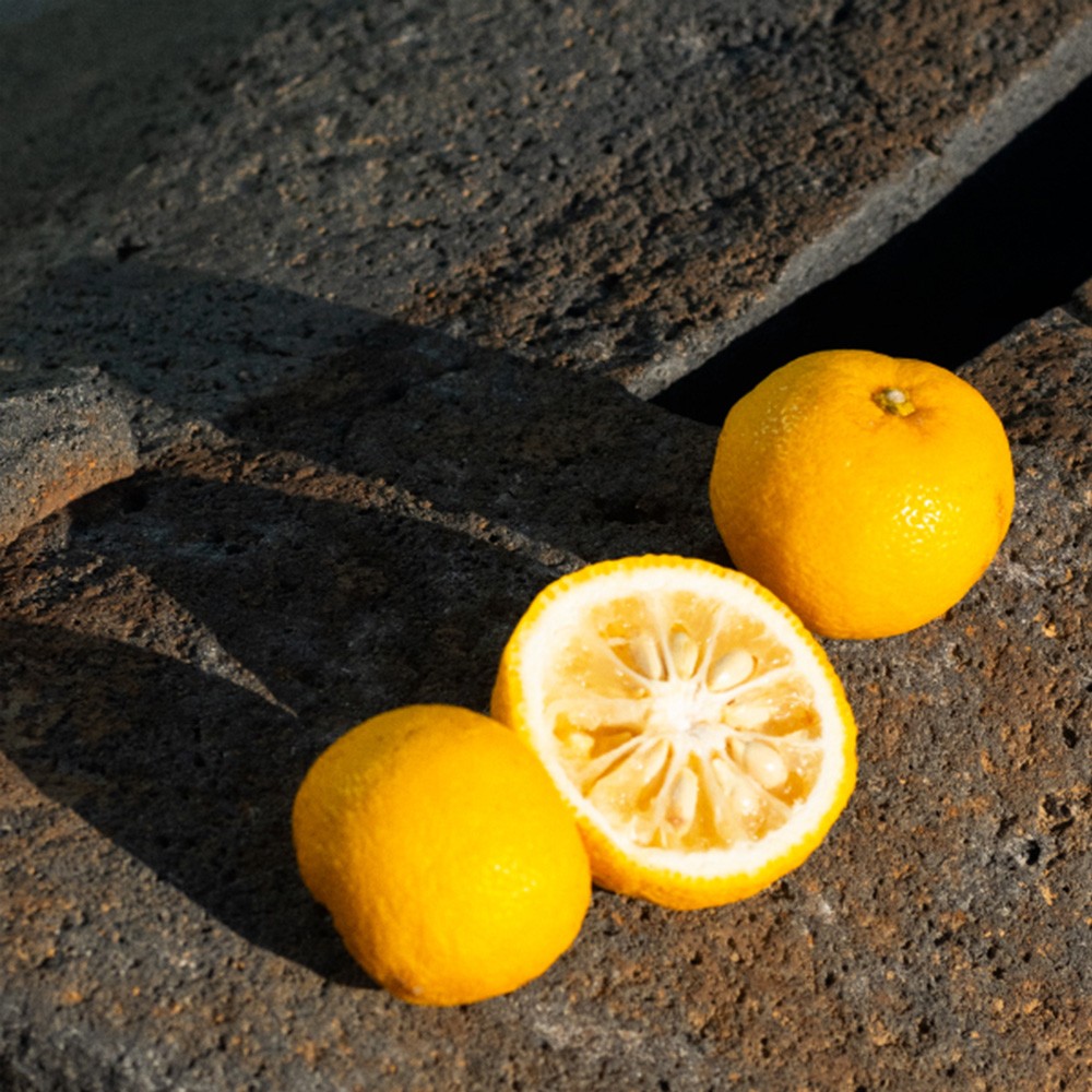 ゆずの香りに癒される泡タイプの洗顔料