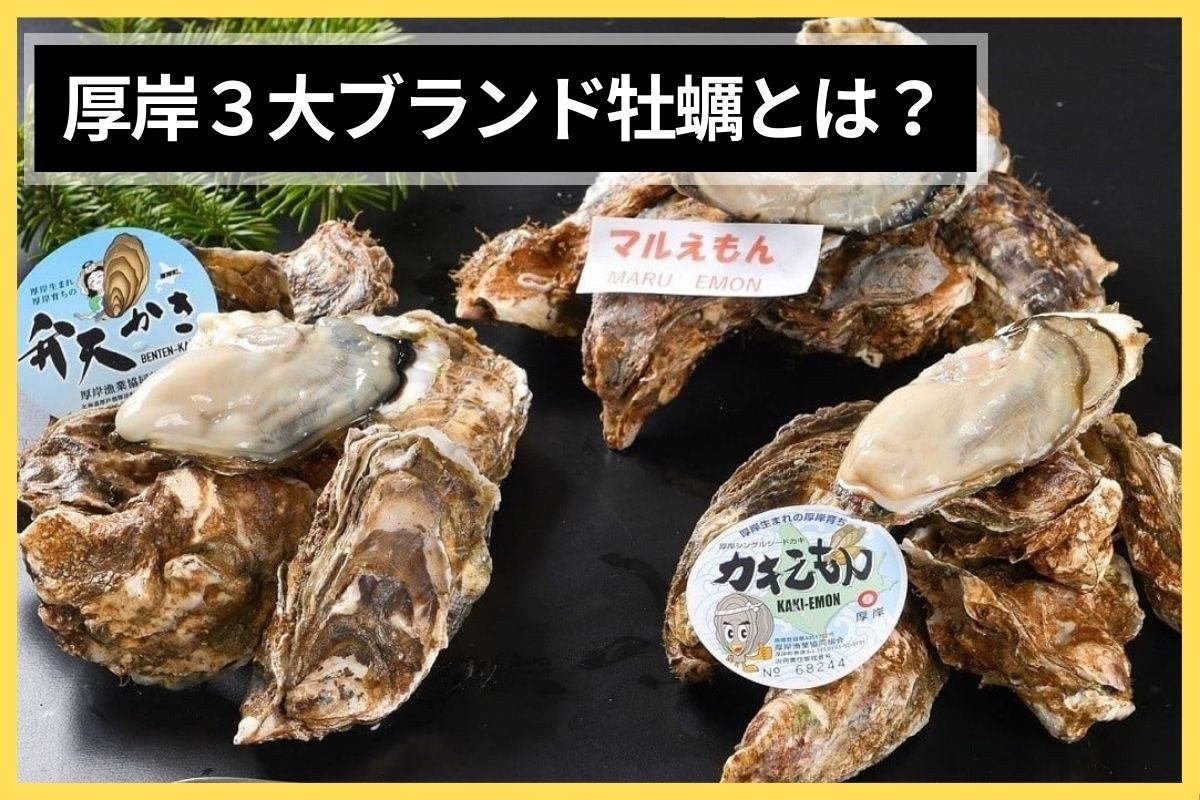 北海道厚岸町の『カキえもん・マルえもん・弁天かき』3種のブランド
