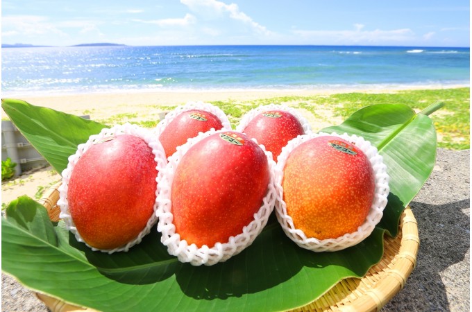 沖縄県大宜味村