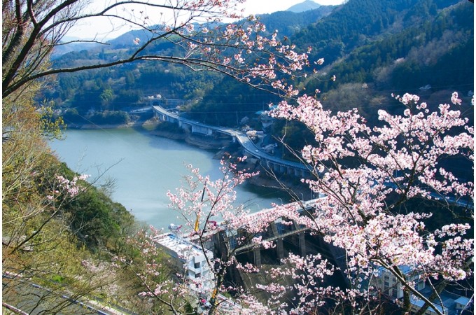 自治体をさがす 愛媛県 ふるさと納税 ふるさとチョイス 自治体をさがす 愛媛県 ふるさと納税 ふるさとチョイス