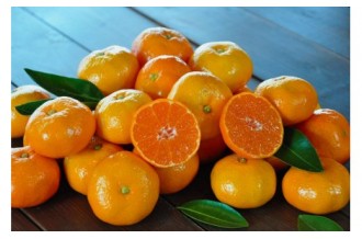 みかんの本場、和歌山県有田市（ありだし）がおすすめするお礼の品！