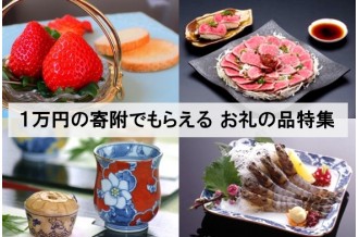 初めての方にもおすすめ！ １万円の寄附でもらえる お礼の品特集