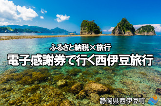 静岡県西伊豆町のふるさと納税で選べるお礼の品一覧 ふるさとチョイス
