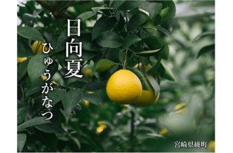 宮崎県綾町のふるさと納税で選べるお礼の品一覧 ふるさとチョイス 2ページ目
