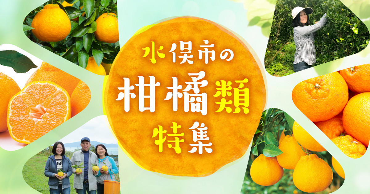 熊本県水俣市の自然豊かな土地で育った柑橘類！水俣市おすすめのお礼の品！｜ふるさとチョイス - ふるさと納税サイト