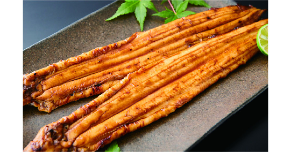 堺 あなご ふるさと納税 ふるさとチョイス